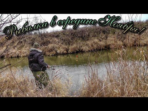ЛОВЛЯ ПЛОТВЫ НА