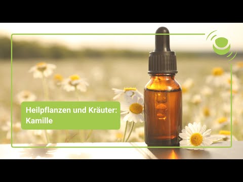 Video: Was sind die Verwendungen von Kamille?