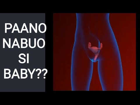 Video: Paano Mabuo Ang Pagkamalikhain