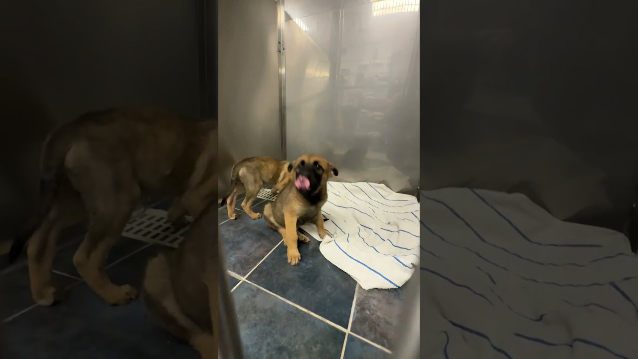 BIG UPDATE STORY BELOW 