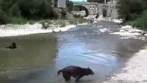 Bommel in de Provence