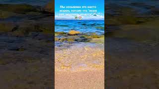 Добро пожаловать на "море"! 🌊🏖️ #shorts #nature #travel #bukhtarma