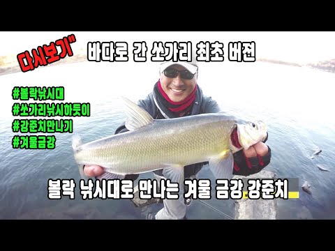 다시보기&amp;quot; 바다로 간 쏘가리 최초 버젼 볼락 낚시대로 만나는 겨울 금강 <strong>강준치</strong>