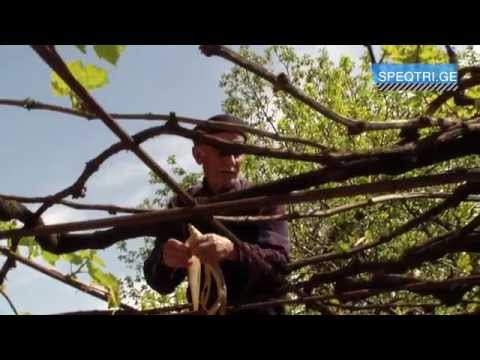 სამამულო ომის დასრულებიდან 70 წელი სრულდება