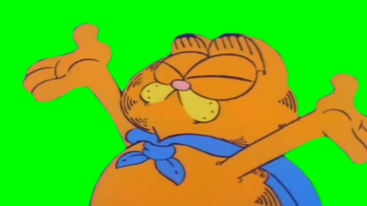 Download Garfield Green Screens - "You've missed the point entirely."