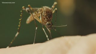 CDC warning about rising mosquito transmissions of dengue virus