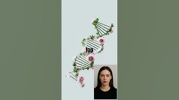 Hidden Crypto Gems: Top 3 for 2024 #HiddenCryptoGems2024 #CryptoInvesting #shorts