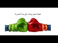 ازاي تقدر تحمل بيانات البورصة المصرية