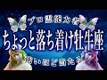 【2月後半🔮牡牛座】運勢がヤバいから絶対見て。今から楽しみすぎる…