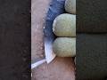 Learning How To Pressure Flake.#flintknapping #chumash #nativeartist