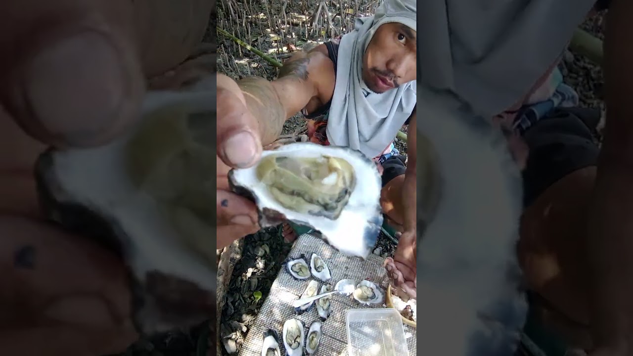 kinilaw na talaba