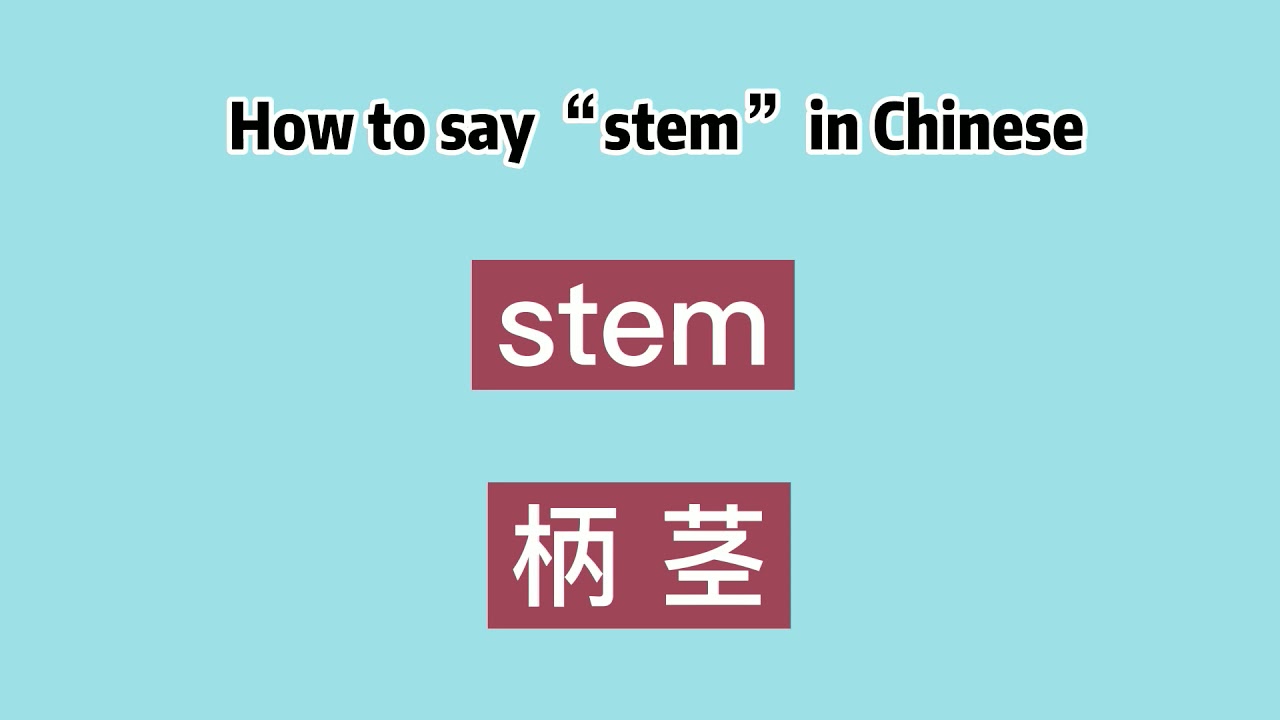 How to say “stem” in Chinese