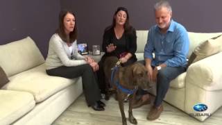 Pet of the Week: Bo Duke