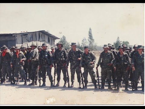 Video: Salvadoran Hovorí O Príchode Do Ameriky - Matador Network