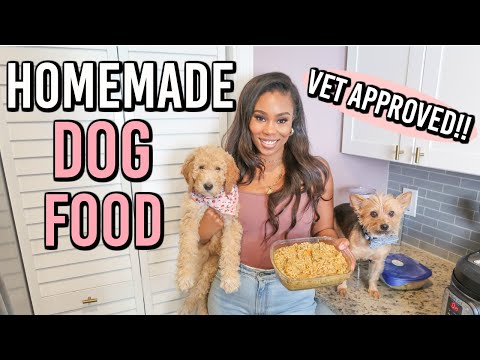 VET APPROVED HOMEMADE + HEALTHY DOG FOOD RECIPE | COOKING FOR YOUR DOG