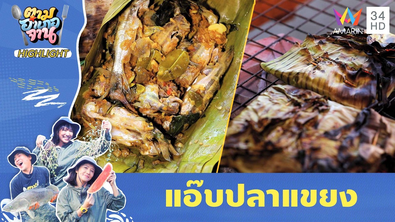 แอ๊บปลาแขยง เนื้อนุ่มชุ่มฉ่ำ | ตามอำเภอจาน HIGHLIGHT