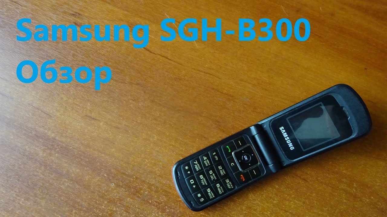 Обзор Samsung SGH-B300