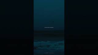 Summertime Sadness - Lana Del Rey | lyrics | aesthetic | whatsapp Status | slowed | speed up | audio