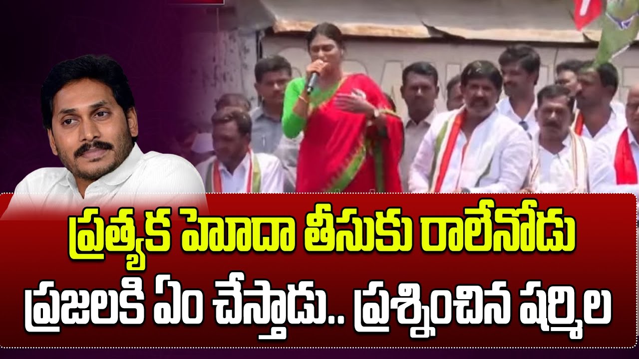 APCC YS Sharmila Fires On CM Jagan For Special Status | AP Elections 2024 | Congress vs YCP | ALO TV