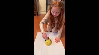 BeeBot Art