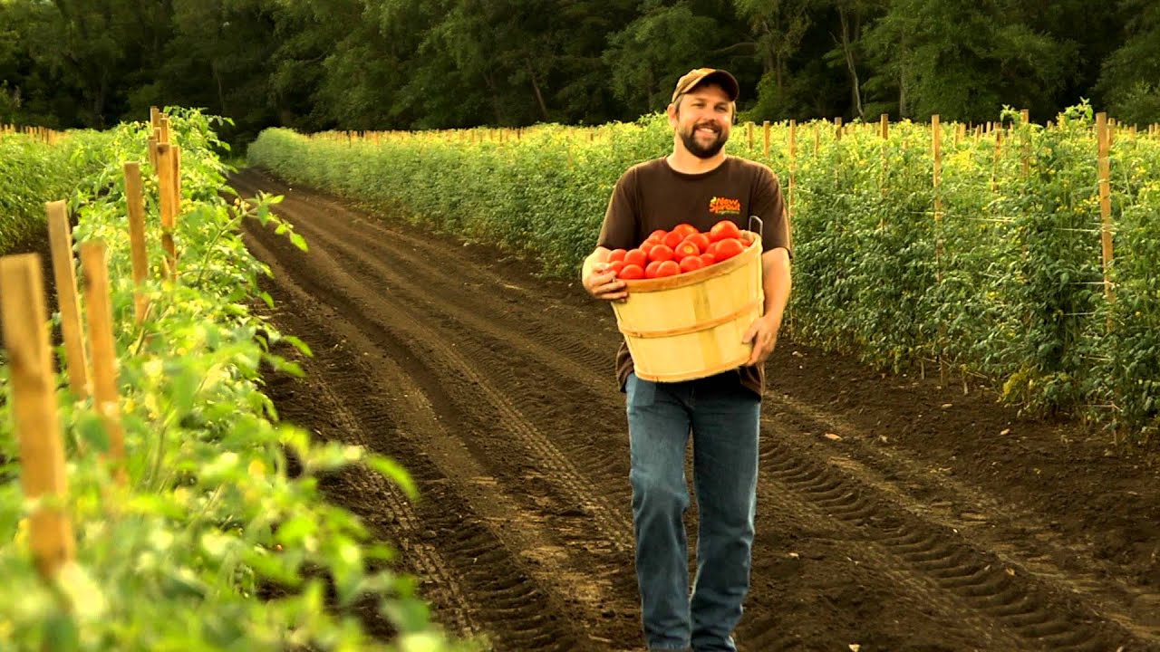 Ingles Supermarkets Fresh Local Produce YouTube