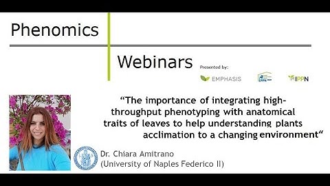 Dr. Chiara Amitrano: The importance of integrating high-throughput phenotyping with anatomical (...)