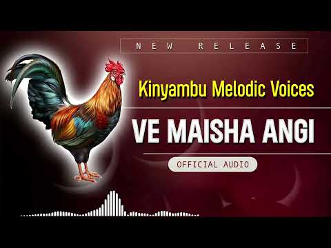 Nzokolo Ve Maisha Angi Official Audio 