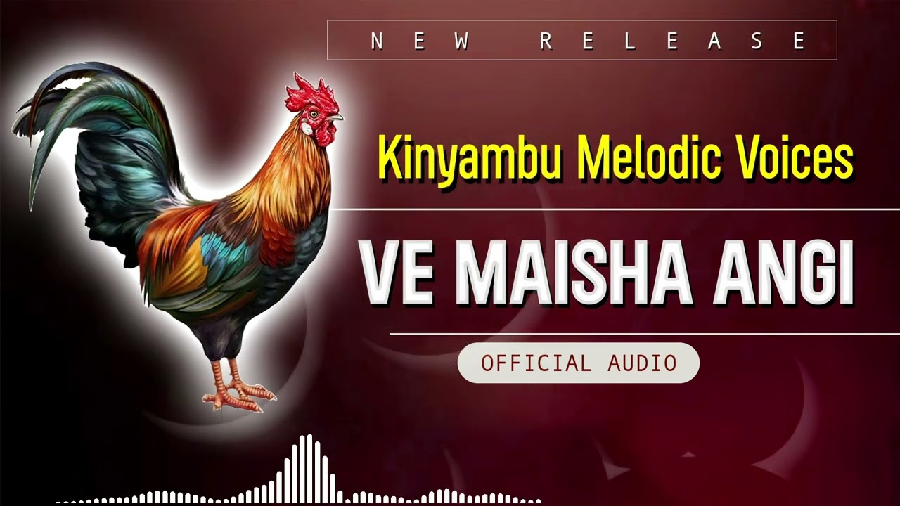Nzokolo - Ve Maisha Angi ( Official Audio)