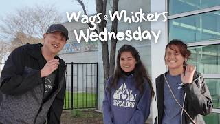 Wags & Whiskers Wednesday with SSPCA | Episode 1
