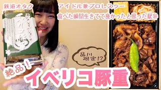 【アイドル】鉄道オタクが今までで食べた中で1番美味しい駅弁を紹介してみた！(六本木散歩付き)【プロレスラー】