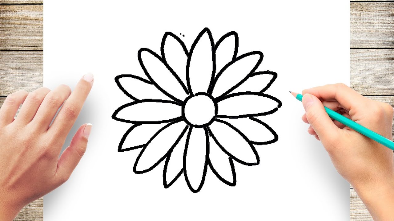 Sketch how to draw a daisy