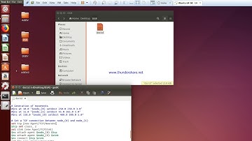 DSR With TCP Protocol New Reno
