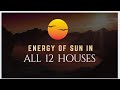 Sun in all 12 houses and special positions sun surya astrology vedicastrology