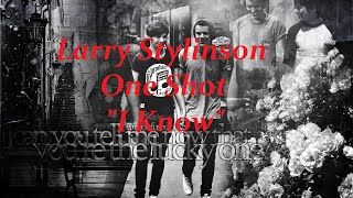 Larry Stylinson One Shot 'I Know'