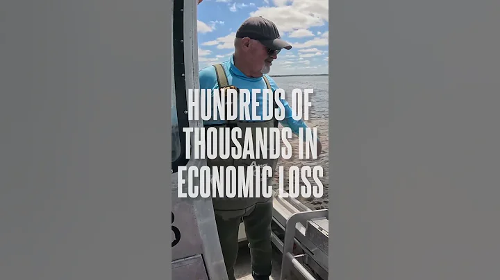 TEASER: Save Our Summer - SA’s Algal Bloom Crisis docuseries