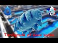 Prsence de tardigrades dans nos eaux uses  acquaecologie  biomicrobics france