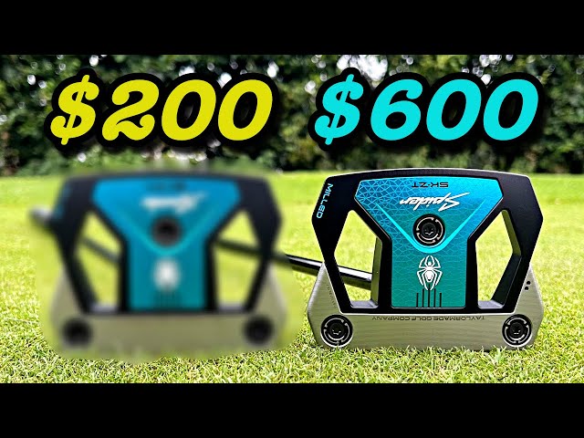 FAKE $200 Spider ZT vs $600 Taylormade Spider ZT Putter - YouTube
