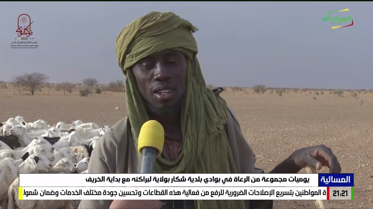 يوميات مجموعة من الرعاة في بوادي بلدية شكار بولاية لبراكنه مع بداية الخريف 04-07-2023