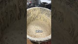 Sour Dough Starter