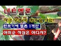 [텃밭농부 1,972]  네트멜론이 착과를 하면, 이 작업 꼭 해 주세요! #멜론재배