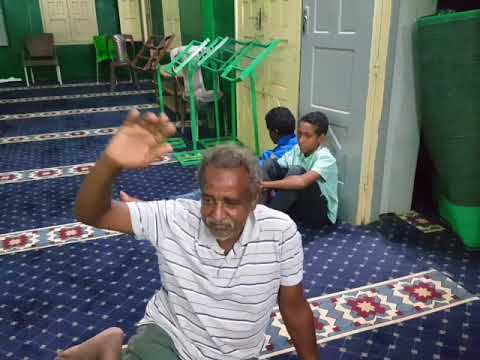 بدور نظام يالساده 