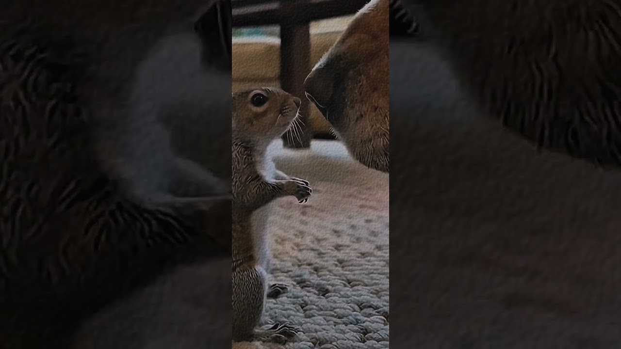 Бедняга едва не погиб 