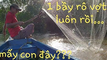 Toàn cá bự sướng tay thiệt. Tiếc mục tra tấn bao tử dã mang đầy ước át | Săn bắt SÓC TRĂNG |