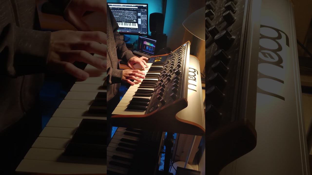 🎹 Step 1 : Synth Bass / Korg MS-20 / Moog Sub37