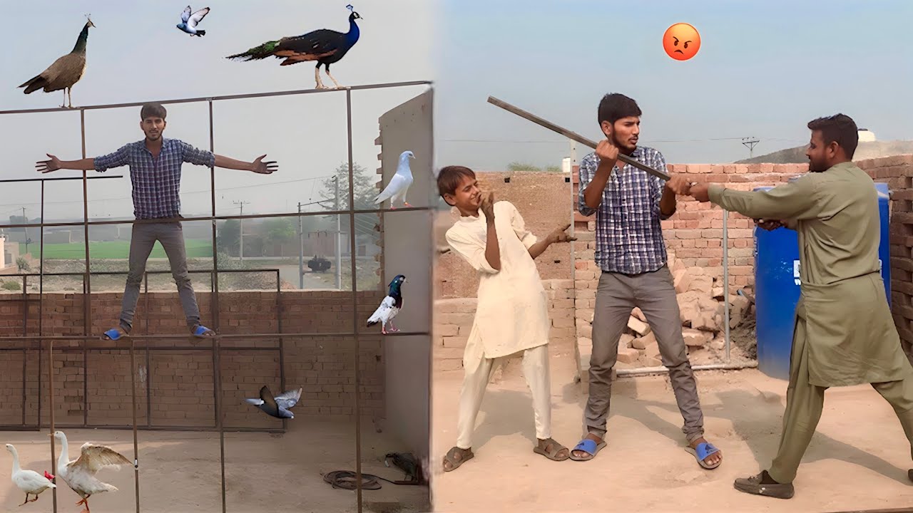 Super Master Cage💔|| Master Cage Bnaty Hovy Larai Ho Gai😱