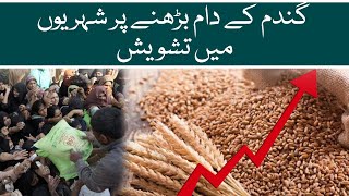 People are worried about rising wheat prices | Aaj News