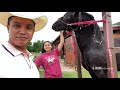 Mi Caballo Y Su Estilista Profesional - El Charro Y La Mayrita (Vlog)