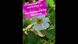 LIVE JEWELRY SALE SUN JULY 26th 2pm est STERLING JEWELRY SALE SUN 7-296 2PM EST