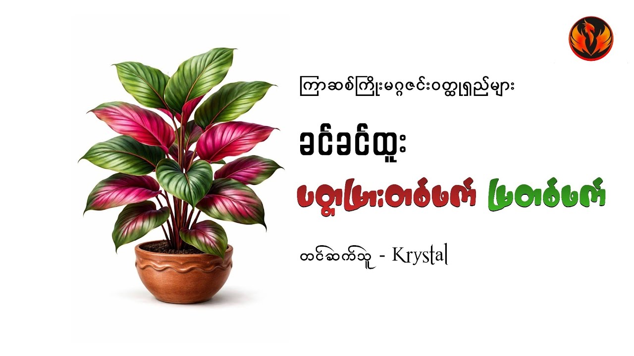 (ကြာဆစ်ကြိုးမဂ္ဂဇင်းဝတ္ထုရှည်များ) ပတ္တမြားတစ်ဖက် မြတစ်ဖက် - ခင်ခင်ထူး