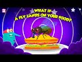 Flies and Food Safety: The Hidden Risks of Household Pests